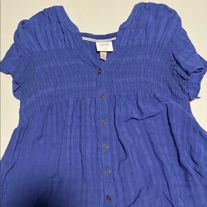Knox Rose Blue Button-Up Blouse